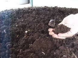 Vermicompost or worm castings