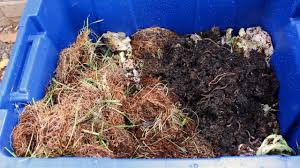 Build A Worm Compost Bin