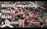 Worm composting