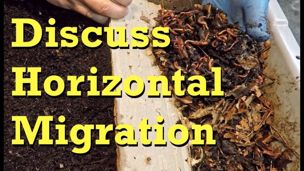 Worm bin horizontal migration
